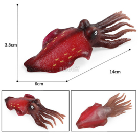 Zeekat rood  inktvis