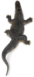 Alligator XXL S113389