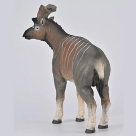 Sivatherium Giganteum  CollectA 80069    presale