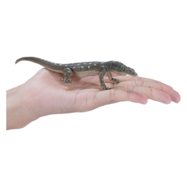 Perentie  Mojo 381061