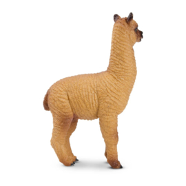 Brown Male Alpaca  Toymany
