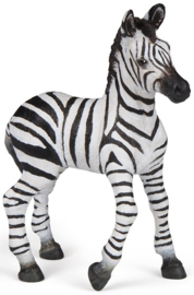 Zebra foal Papo 50123