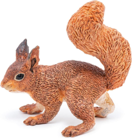 Squirrel Papo 50255