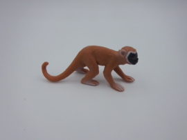 Groene meerkat