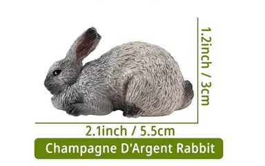 Champagne D'Argent Rabbit
