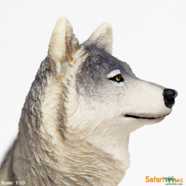 Grey wolf   XXL S112689