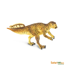 Psittacosaurus Safari 304229