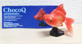 Goudvis Kaiydodo P41b  Demekin