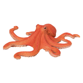 Octopus Mojo 381036