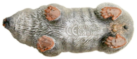 Wombat Southland Replicas