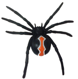 Katipo spider  75346