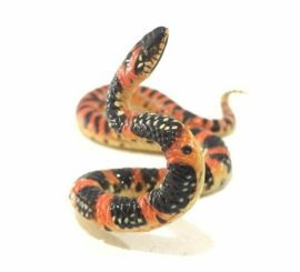 165 Ryukyu Odd-tooth Snake or Tricolor banded snake 165