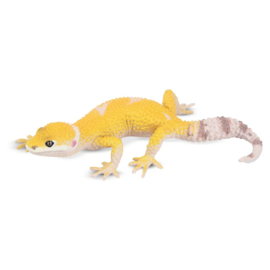 Leopard Gecko Toymany