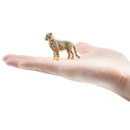 Cheetah cub Toymany