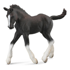 Shire foal CollectA 88583