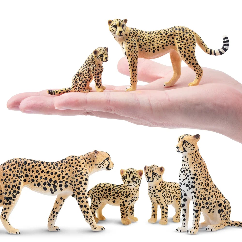 Cheetah family  (8 ex.)
