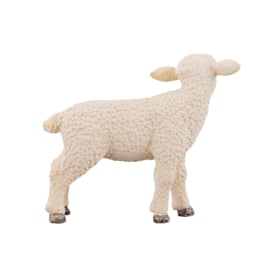 Sheep  lamb Mojo 387098