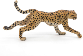 Cheetah Papo 50238
