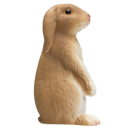 Rabbit   Mojo 387141