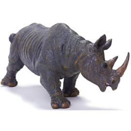 Black Rhinoceros Recur