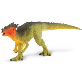 Dracorex Safari Ltd