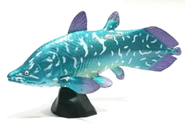Coelacanth   Kaiydodo  Aquatales