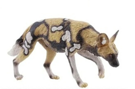 Afrikaanse wilde hond Toymany