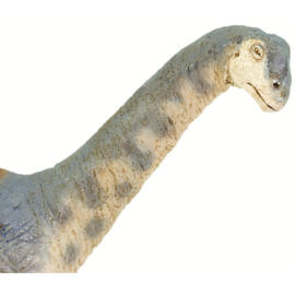 Camarasaurus Safari 100309