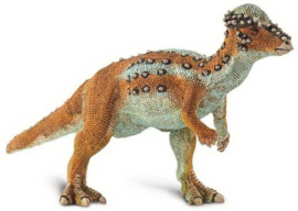 Pachycephalosaurus   S100350