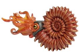 Ammonite Safari Ltd S303429