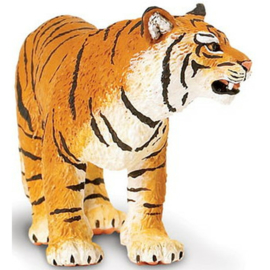 Bengaalse tijger  wijfje   S294529