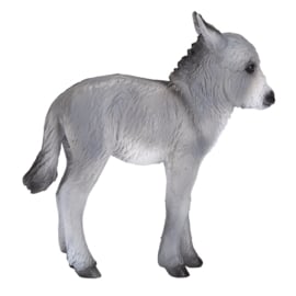 Donkey foal  Mojo 387398