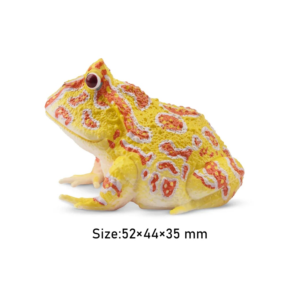 Argentine horned frog  Toymany