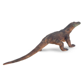 Komodo Dragon Toymany
