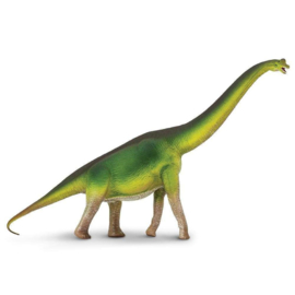 Brachiosaurus S300229