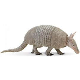 Armadillo    XXL   S262829