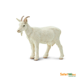 Goat  Safari 161129