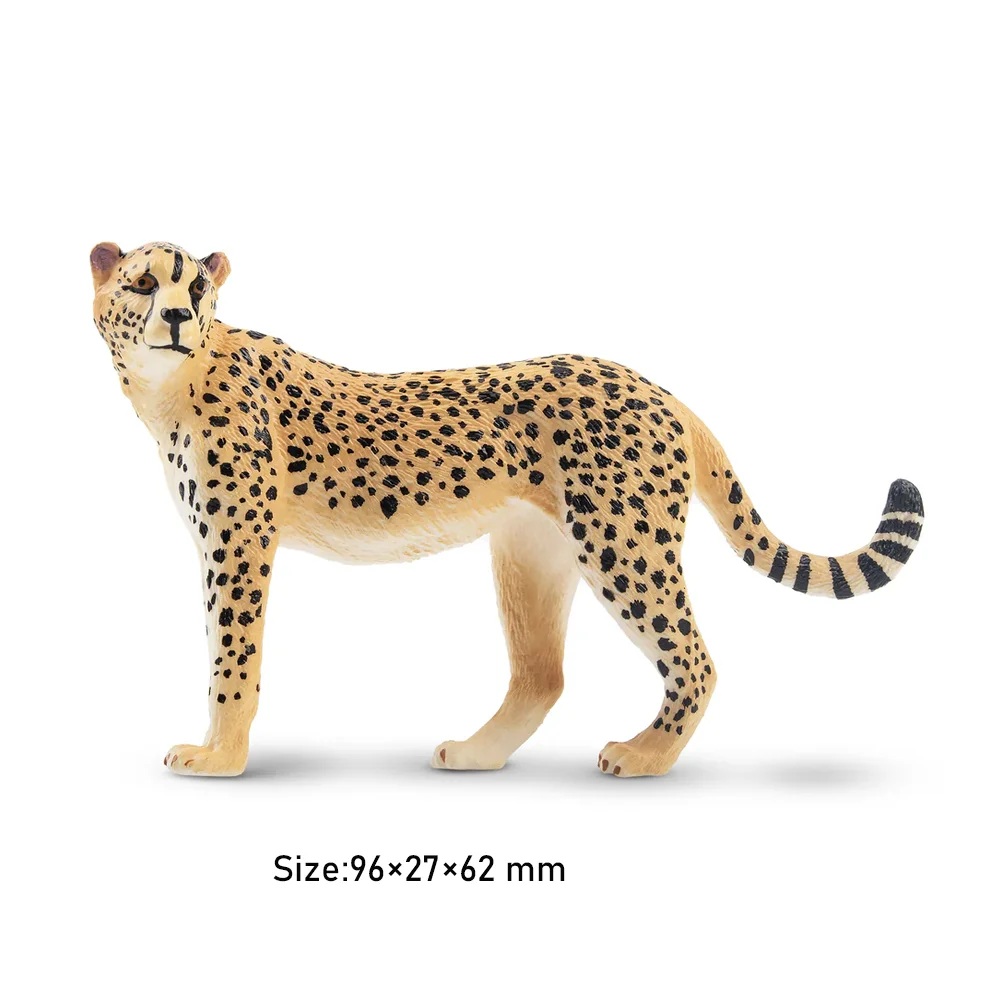 Cheetah  Toymany