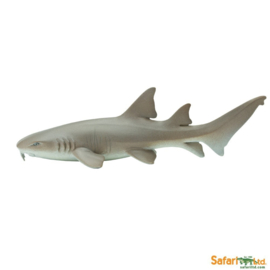 Nurse Shark  S200629