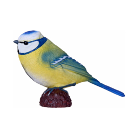 Blue tit  Mojo   available