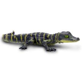 Alligator baby Safari 101073