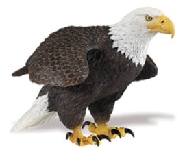 Bald Eagle  SafariLtd  S251029