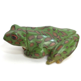 118  Forest Green Tree Frog