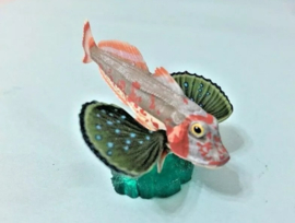 red gurnard Aquatales Kaiyodo