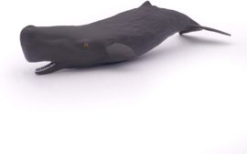 Sperm Whale Calf     Papo 56045