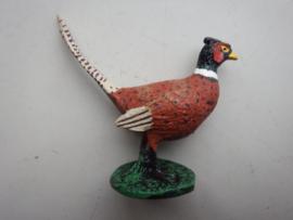 Pheasant