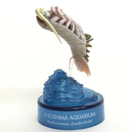 Reuzenpissebed Kaiyodo Enoshima Aquarium