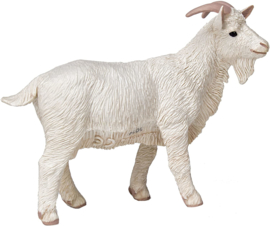 Goat Safari Ltd S160429