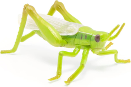 Sprinkhaan  Papo  50268
