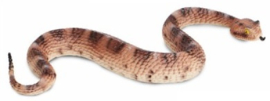 Sidewinder Rattlesnake   S261629